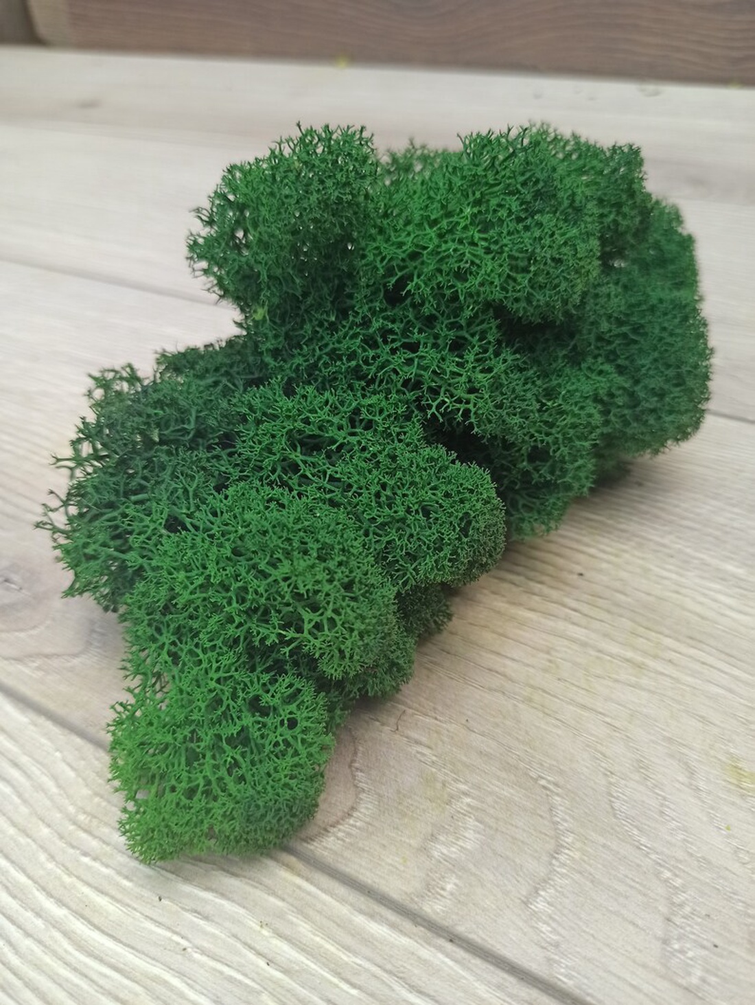 Tablouri din licheni 3535 cm SET - casă & stil de viață - accesorii pentru decorat casa - decorațiuni de pereți, decorațiuni suspendate - tablou cu licheni - Artynos.ro