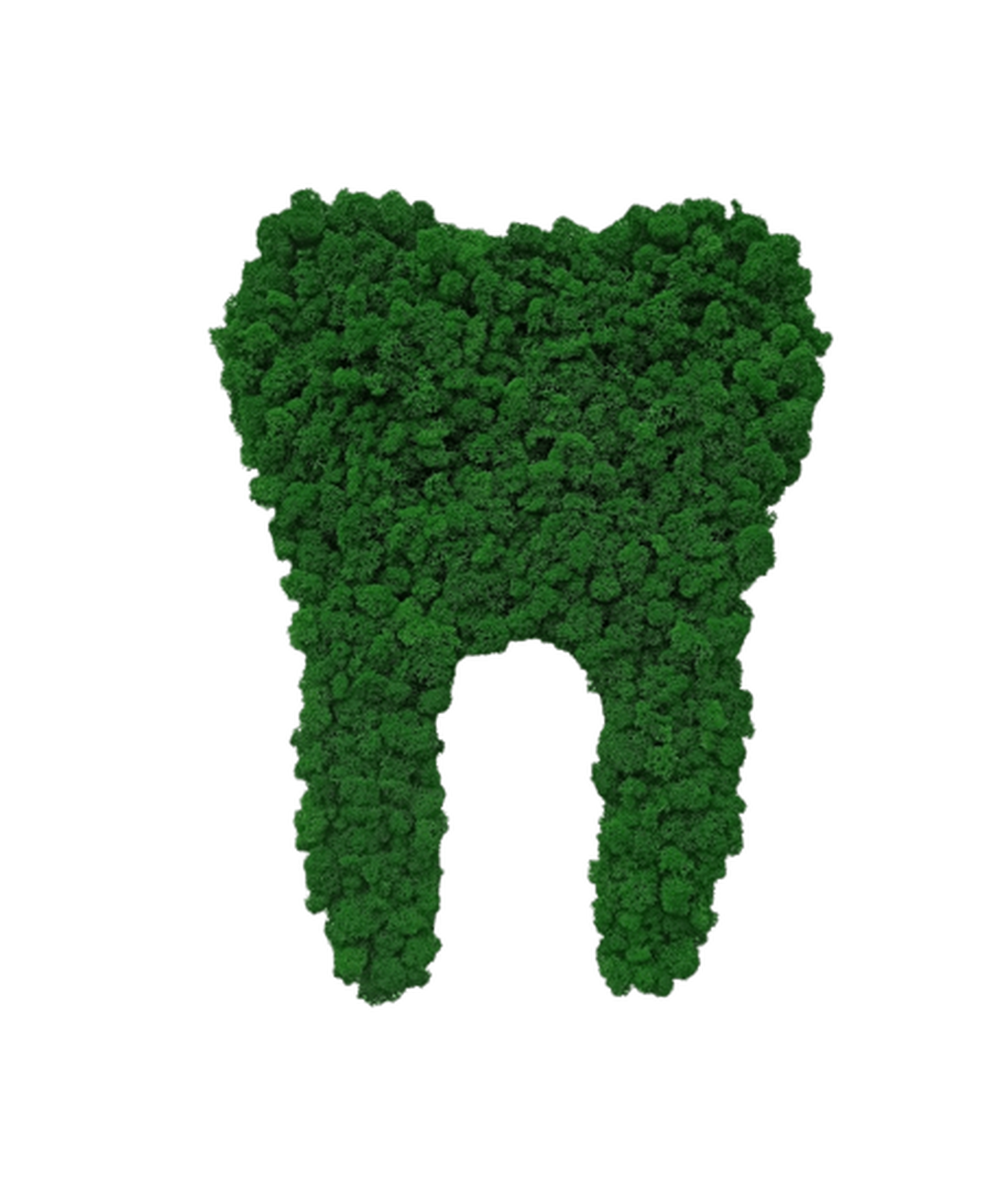 Dinte din licheni - casă & stil de viață - accesorii pentru decorat casa - decorațiuni de pereți, decorațiuni suspendate - tablou cu licheni - Artynos.ro