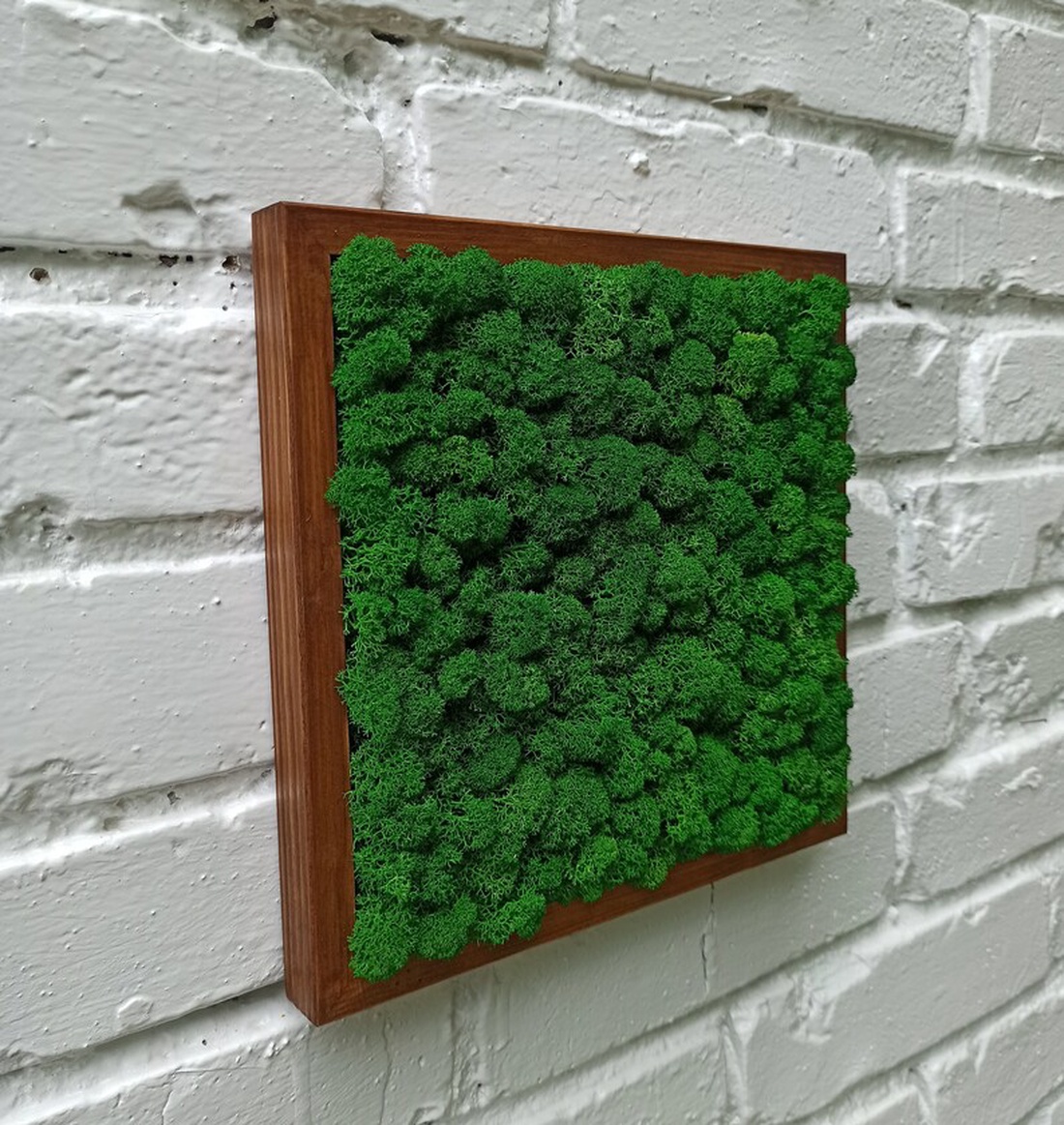 Tablou cu licheni 2525 cm - casă & stil de viață - accesorii pentru decorat casa - decorațiuni de pereți, decorațiuni suspendate - tablou cu licheni - Artynos.ro