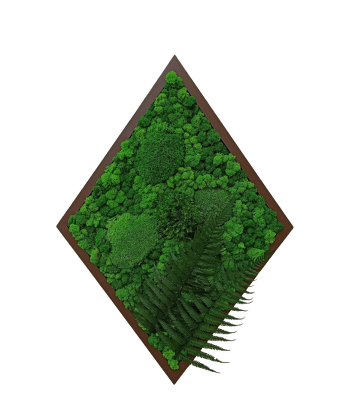 Tablou din licheni 7050 cm - casă & stil de viață - accesorii pentru decorat casa - decorațiuni de pereți, decorațiuni suspendate - tablou cu licheni - Artynos.ro