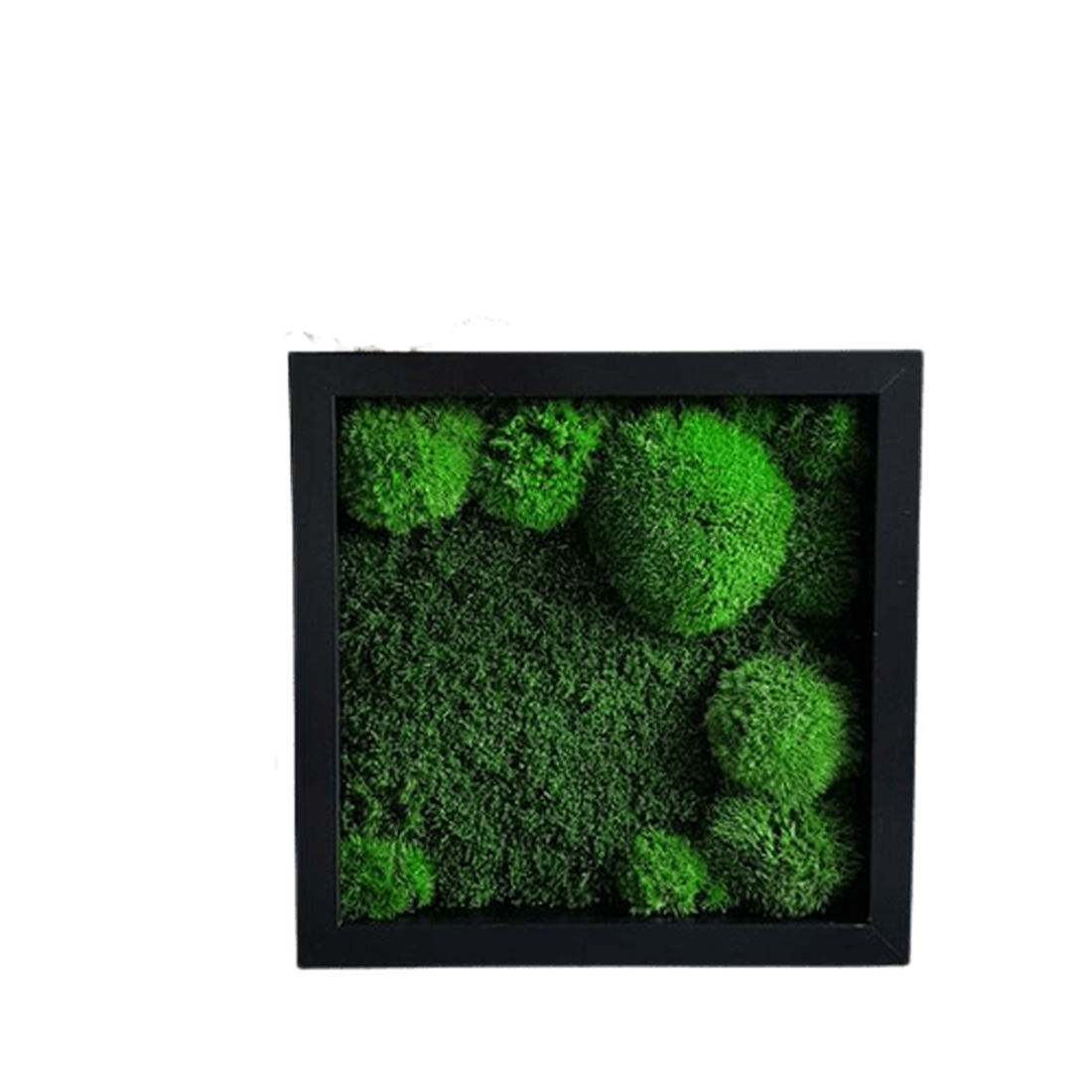 Tablou din muschi bombat 3030 cm - casă & stil de viață - accesorii pentru decorat casa - decorațiuni de pereți, decorațiuni suspendate - tablou cu licheni - Artynos.ro