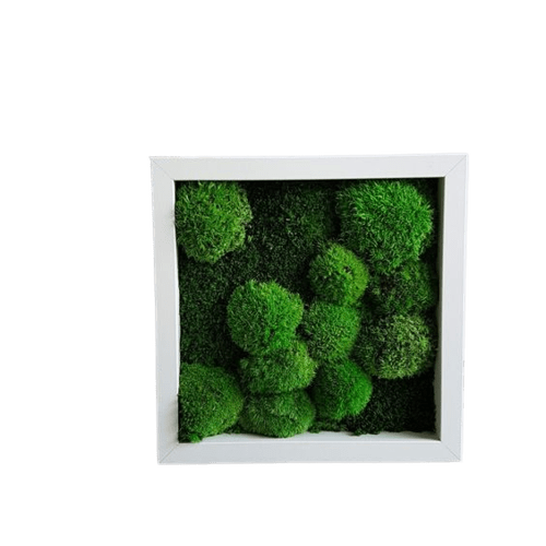 Tablou din muschi bombat 3030 cm - casă & stil de viață - accesorii pentru decorat casa - decorațiuni de pereți, decorațiuni suspendate - tablou cu licheni - Artynos.ro