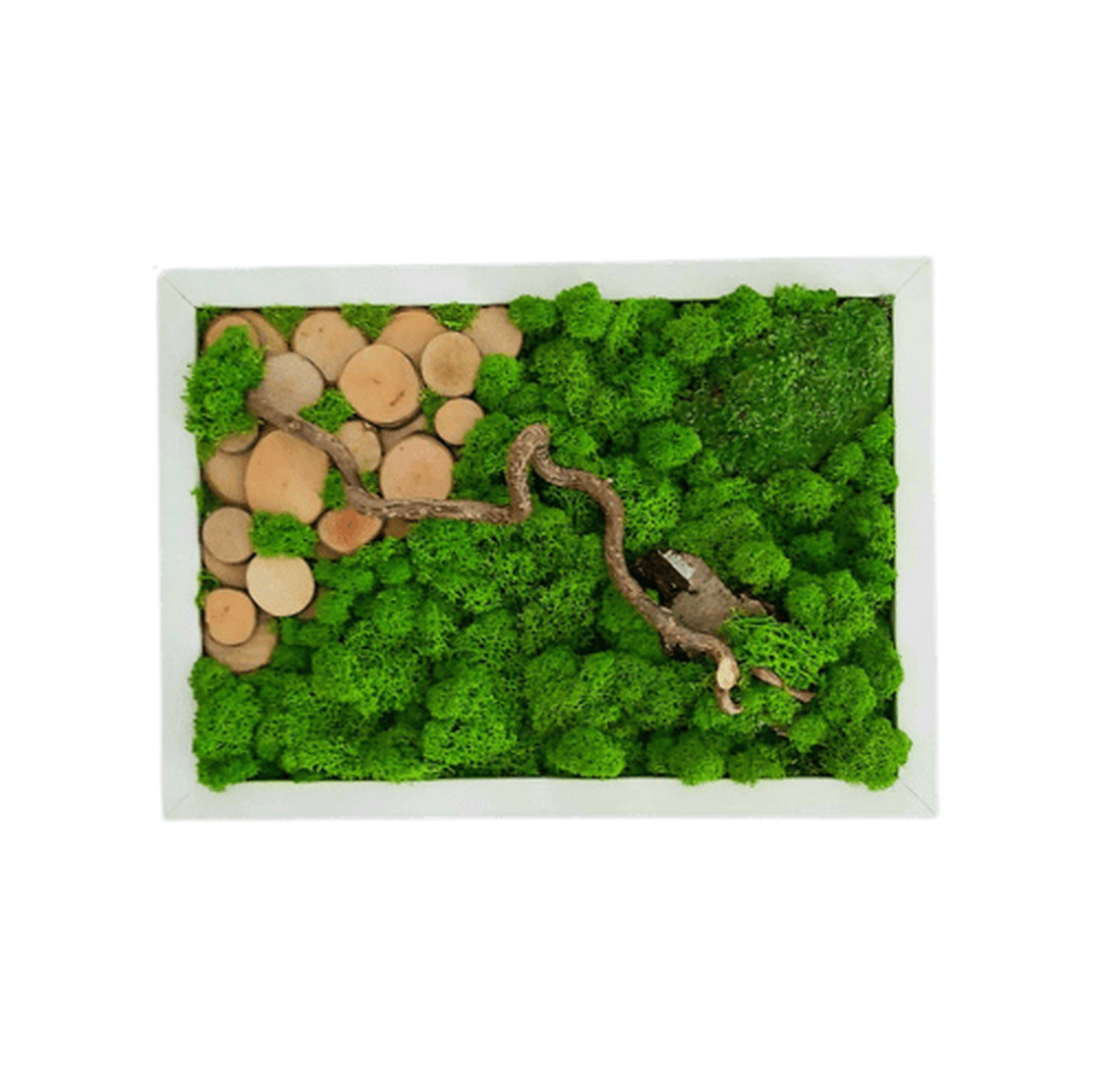 Tablou din licheni 3025 cm - casă & stil de viață - accesorii pentru decorat casa - decorațiuni de pereți, decorațiuni suspendate - tablou cu licheni - Artynos.ro