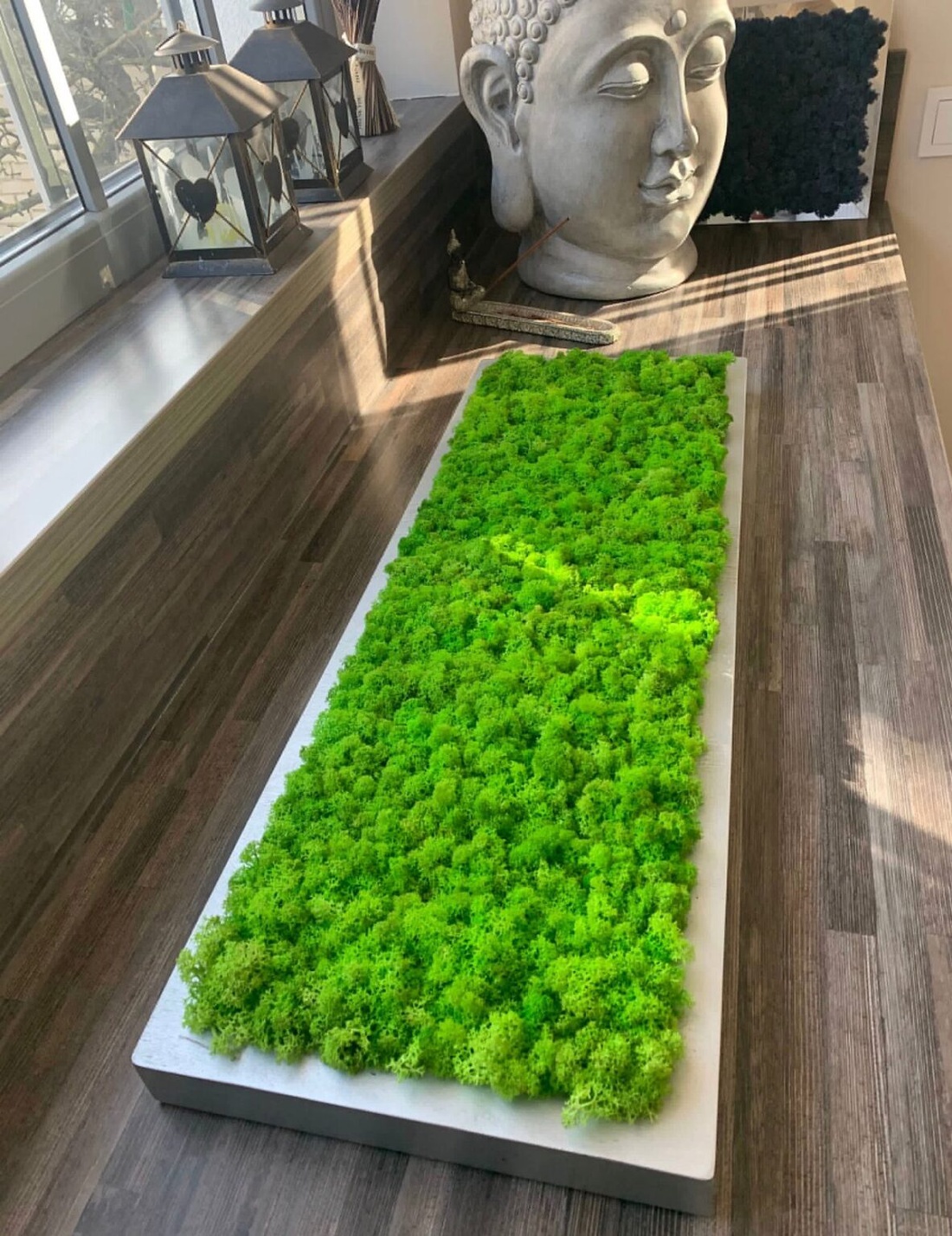 Tablou din licheni 8030 cm - casă & stil de viață - accesorii pentru decorat casa - decorațiuni de pereți, decorațiuni suspendate - tablou cu licheni - Artynos.ro