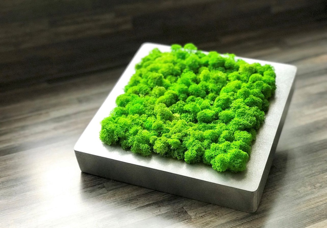 Tablou din licheni 2020 cm - casă & stil de viață - accesorii pentru decorat casa - decorațiuni de pereți, decorațiuni suspendate - tablou cu licheni - Artynos.ro