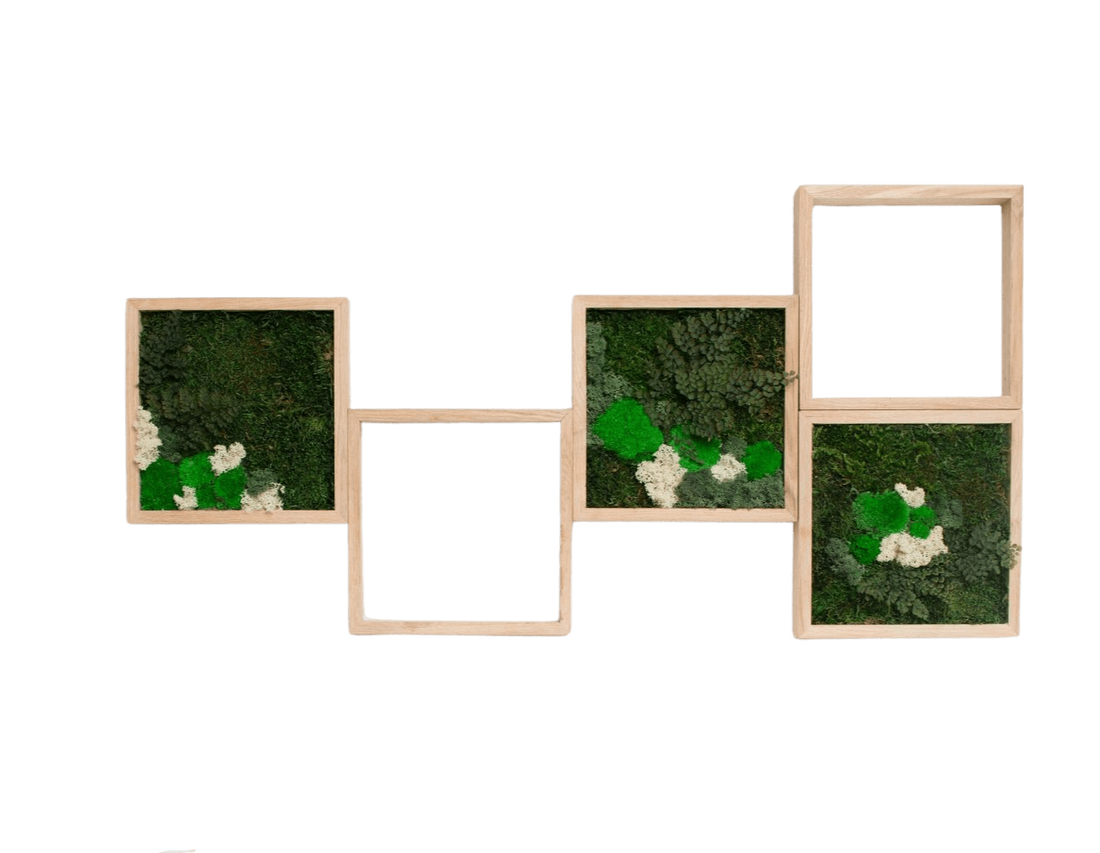 Tablouri din licheni 3030 cm SET - casă & stil de viață - accesorii pentru decorat casa - decorațiuni de pereți, decorațiuni suspendate - tablou cu licheni - Artynos.ro