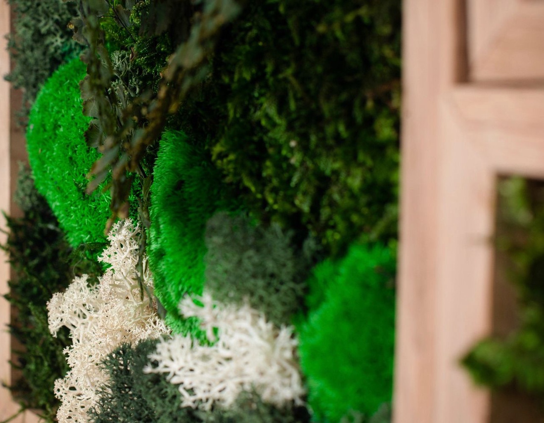 Tablouri din licheni 3030 cm SET - casă & stil de viață - accesorii pentru decorat casa - decorațiuni de pereți, decorațiuni suspendate - tablou cu licheni - Artynos.ro