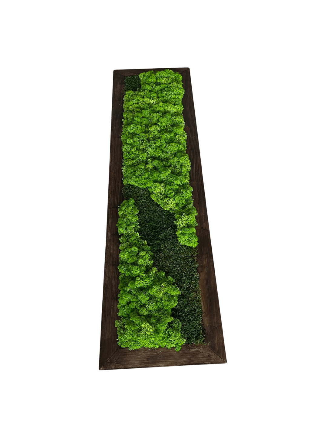 Tablou cu licheni stabilizati 100�20 cm - casă & stil de viață - decorațiuni de casă - decorațiuni de pereți - tablou cu licheni - Artynos.ro