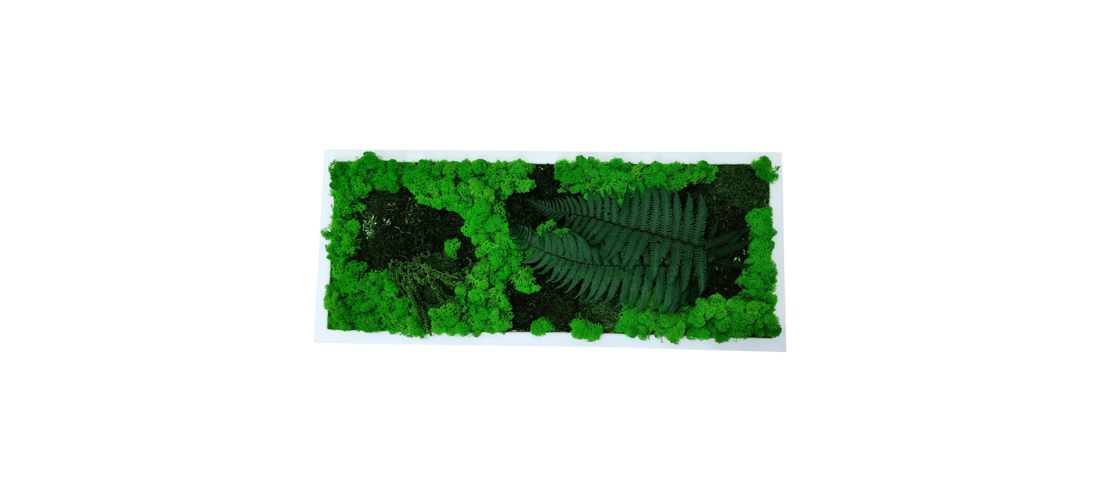 Tablou din licheni 7030 cm - casă & stil de viață - accesorii pentru decorat casa - decorațiuni de pereți, decorațiuni suspendate - tablou cu licheni - Artynos.ro