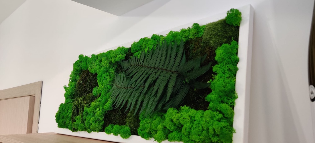 Tablou din licheni 7030 cm - casă & stil de viață - accesorii pentru decorat casa - decorațiuni de pereți, decorațiuni suspendate - tablou cu licheni - Artynos.ro