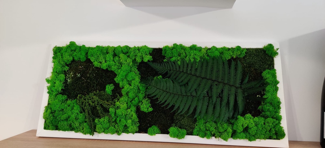 Tablou din licheni 7030 cm - casă & stil de viață - accesorii pentru decorat casa - decorațiuni de pereți, decorațiuni suspendate - tablou cu licheni - Artynos.ro