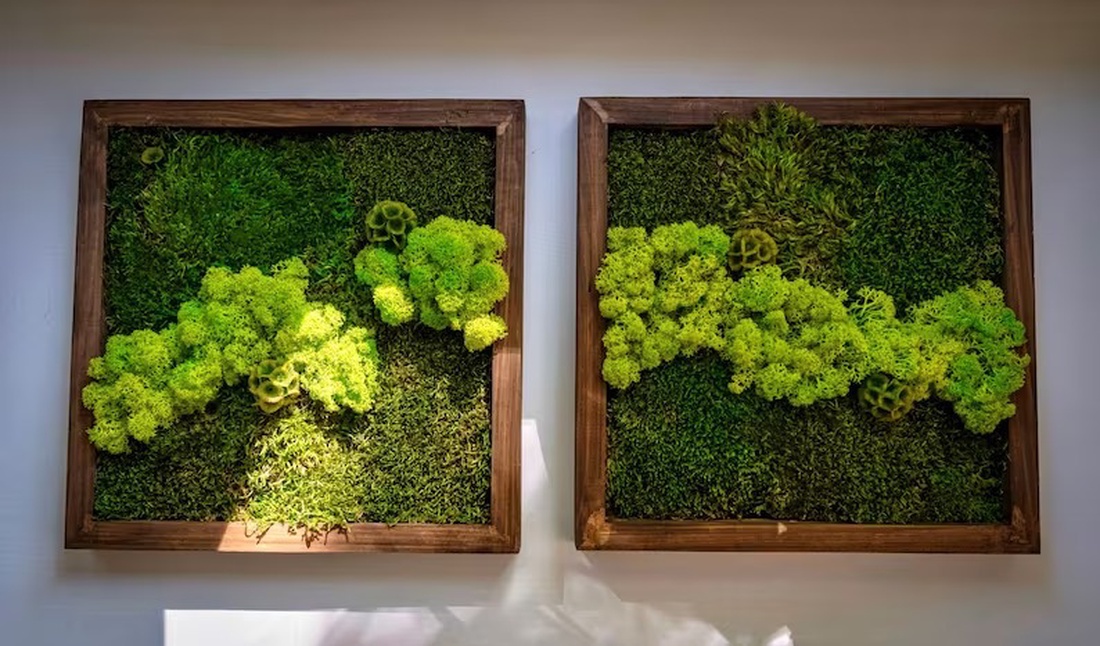 Tablouri cu licheni 4040 cm - casă & stil de viață - accesorii pentru decorat casa - decorațiuni de pereți, decorațiuni suspendate - tablou cu licheni - Artynos.ro