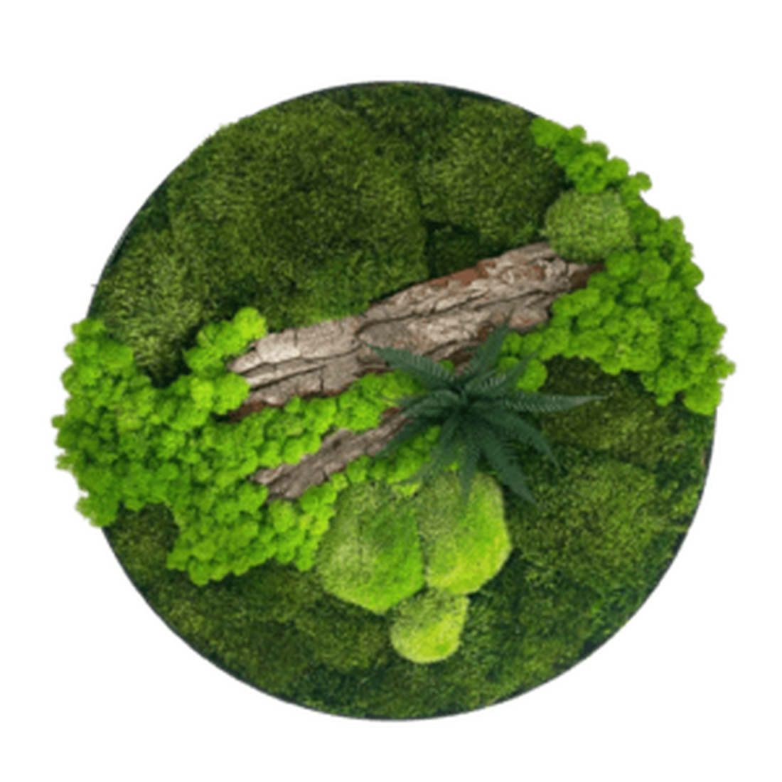 Cerc din licheni peisaj Ø 50 cm - casă & stil de viață - accesorii pentru decorat casa - decorațiuni de pereți, decorațiuni suspendate - tablou cu licheni - Artynos.ro