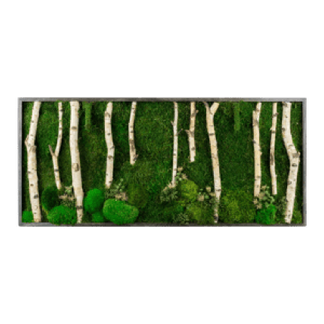 Tablou cu licheni stabilizati 10050 cm - casă & stil de viață - accesorii pentru decorat casa - decorațiuni de pereți, decorațiuni suspendate - tablou cu licheni - Artynos.ro