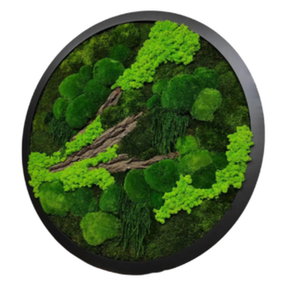 Cerc cu licheni peisaj Ø 80 cm - casă & stil de viață - accesorii pentru decorat casa - decorațiuni de pereți, decorațiuni suspendate - tablou cu licheni - Artynos.ro