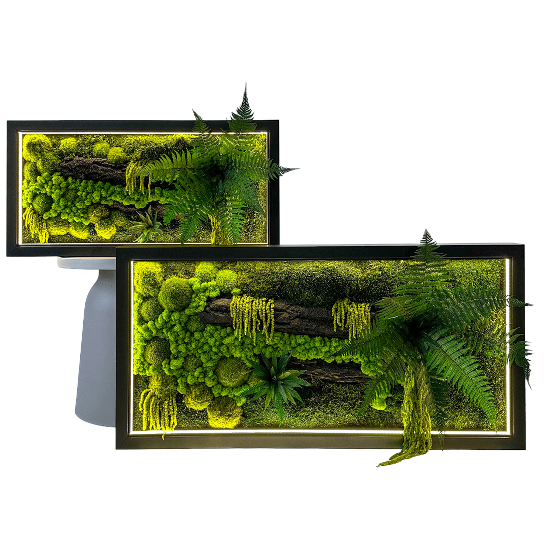 Tablou cu licheni stabilizati si led 8040 cm - casă & stil de viață - accesorii pentru decorat casa - decorațiuni de pereți, decorațiuni suspendate - tablou cu licheni - Artynos.ro