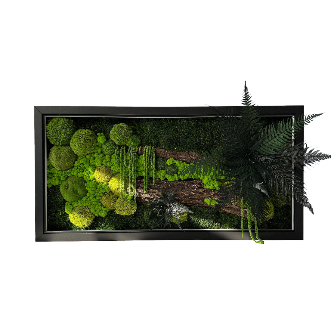 Tablou cu licheni stabilizati si led 8040 cm - casă & stil de viață - accesorii pentru decorat casa - decorațiuni de pereți, decorațiuni suspendate - tablou cu licheni - Artynos.ro