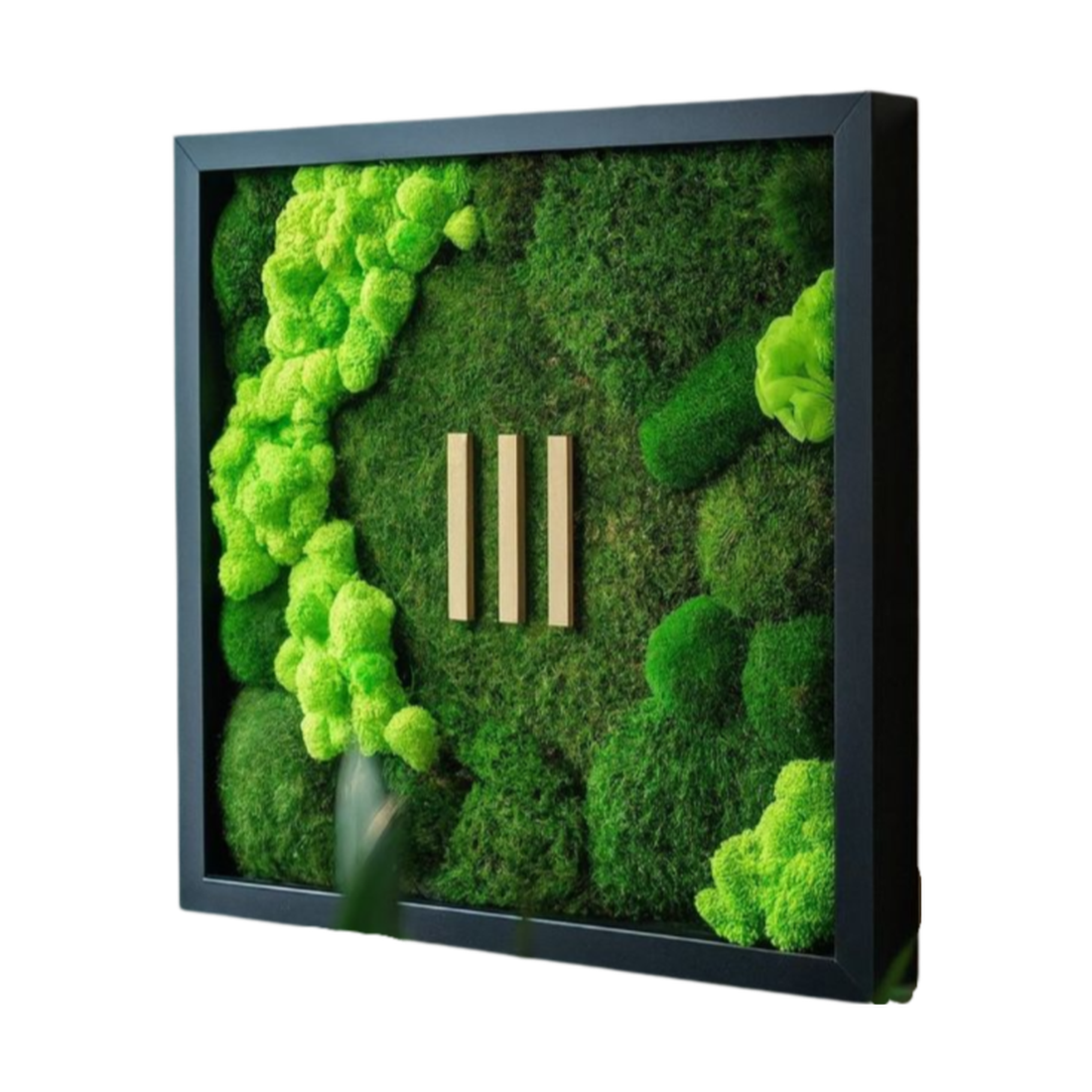 Tablou cu licheni stabilizati 5050 cm - casă & stil de viață - accesorii pentru decorat casa - decorațiuni de pereți, decorațiuni suspendate - tablou cu licheni - Artynos.ro