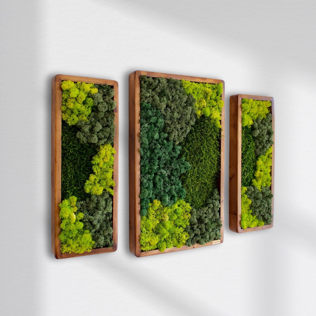 Set tablouri cu licheni stabilizati - casă & stil de viață - decorațiuni de casă - decorațiuni de pereți - tablou cu licheni - Artynos.ro