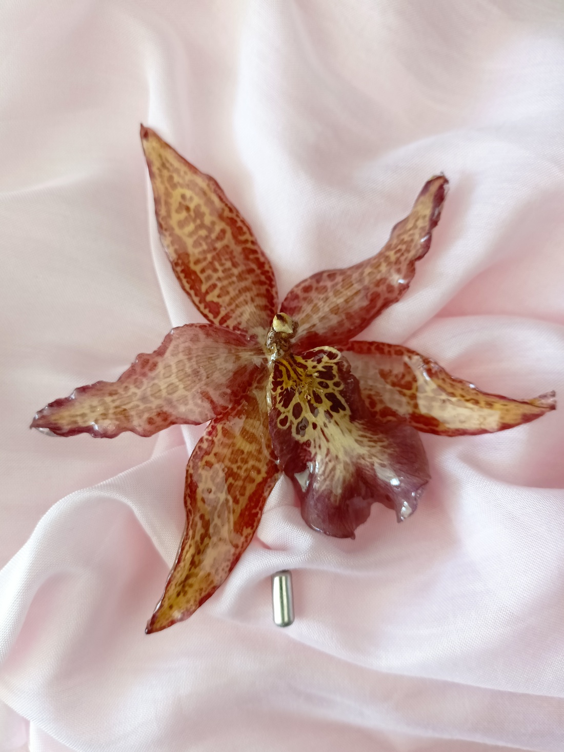 Broșă cu Orhidee Cymbidium, naturală conservată în rășină  - bijuterii - broșe - Artynos.ro
