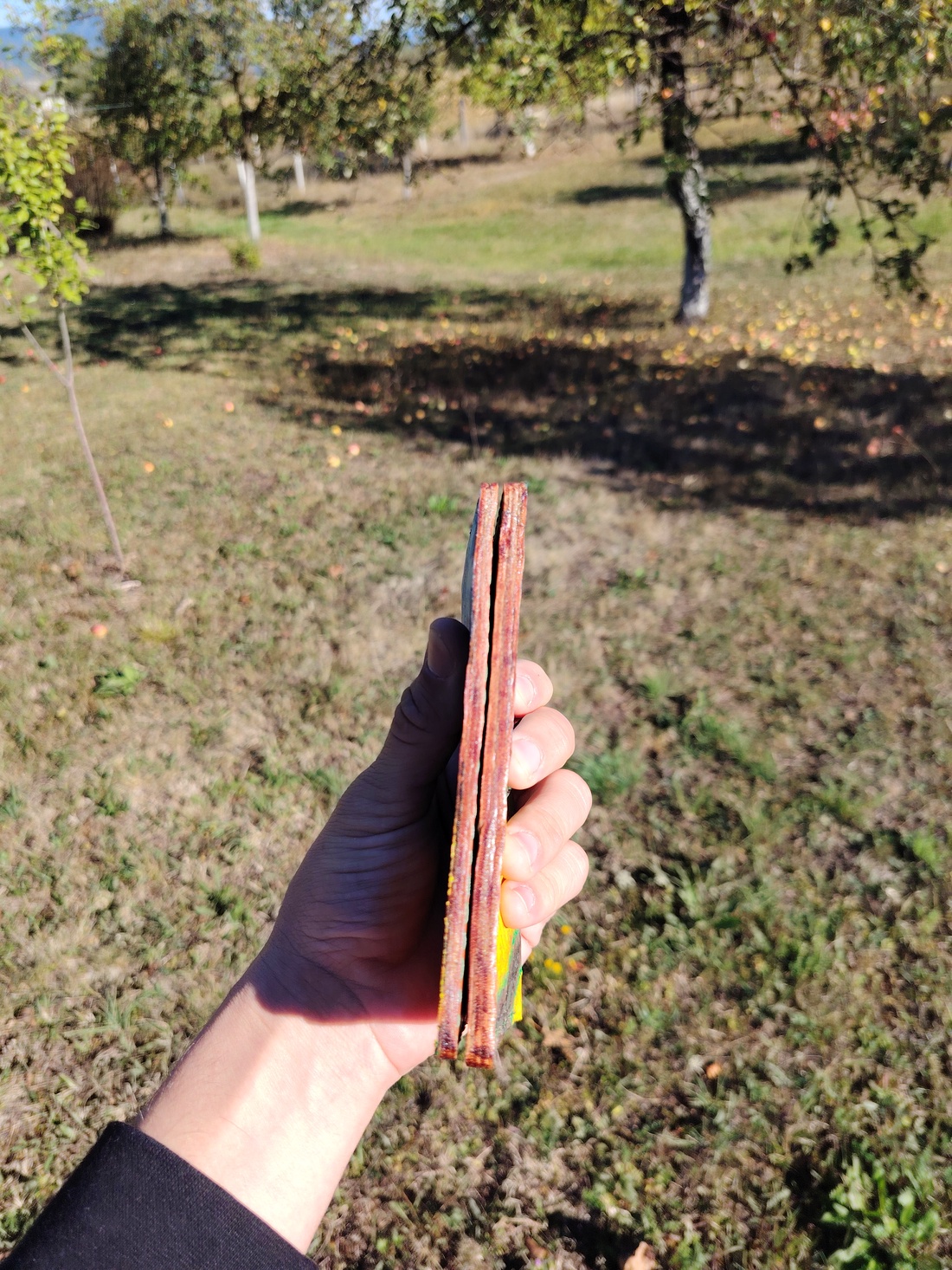 Portofel înalt din piele naturală, gravat și pictat manual, model Peisaj Rural - genți și portofele - portofele, huse, suporturi - portofele - portofele damă - Artynos.ro