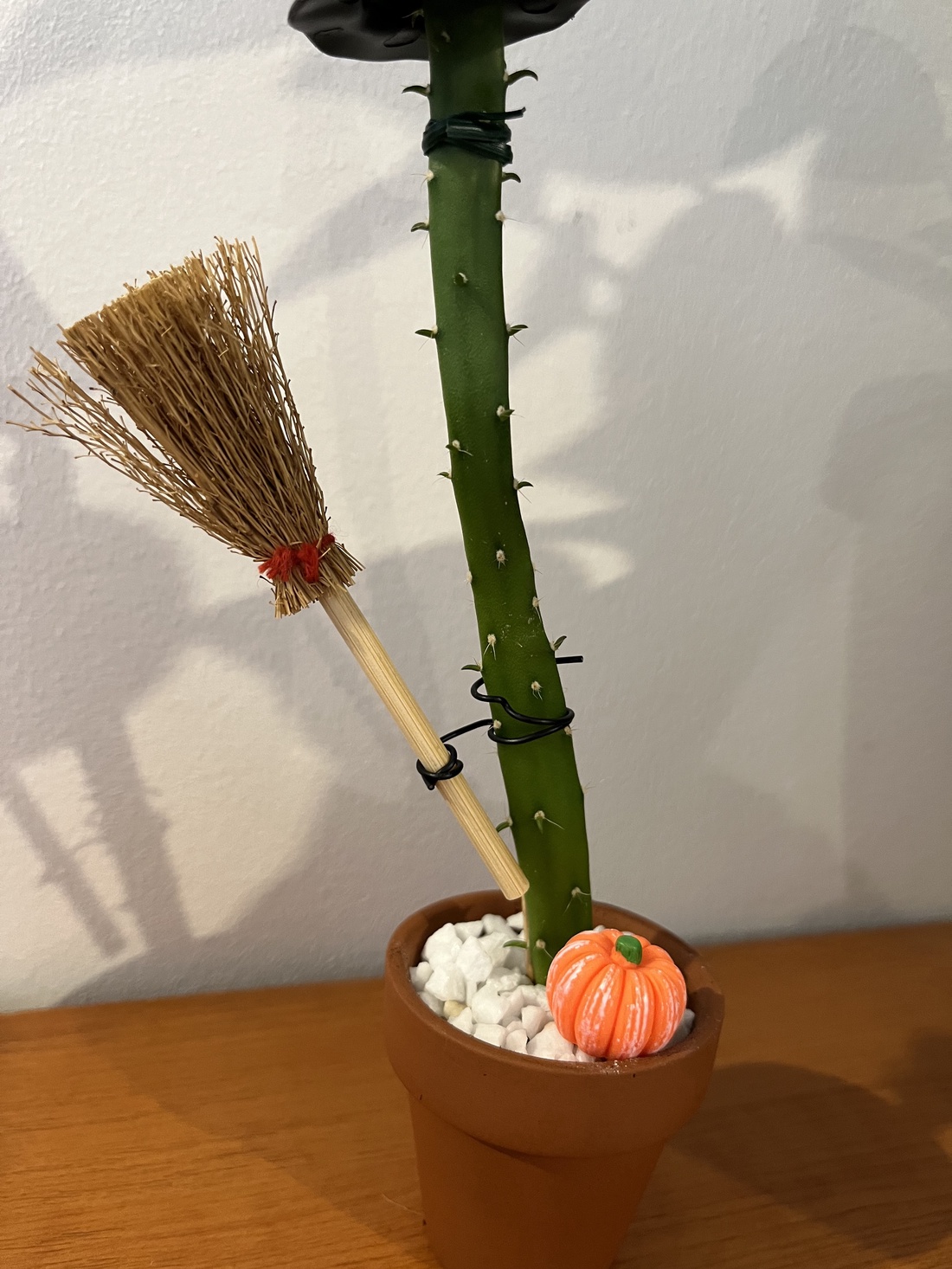 Cactus Vrăjitoare - casă & stil de viață - accesorii pentru decorat casa - halloween - tot ce ai nevoie pentru petrecere! - figurine halloween - Artynos.ro Cactus Vrăjitoare - casă & stil de viață - accesorii pentru decorat casa - halloween - tot ce ai nevoie pentru petrecere! - figurine halloween - Artynos.ro
