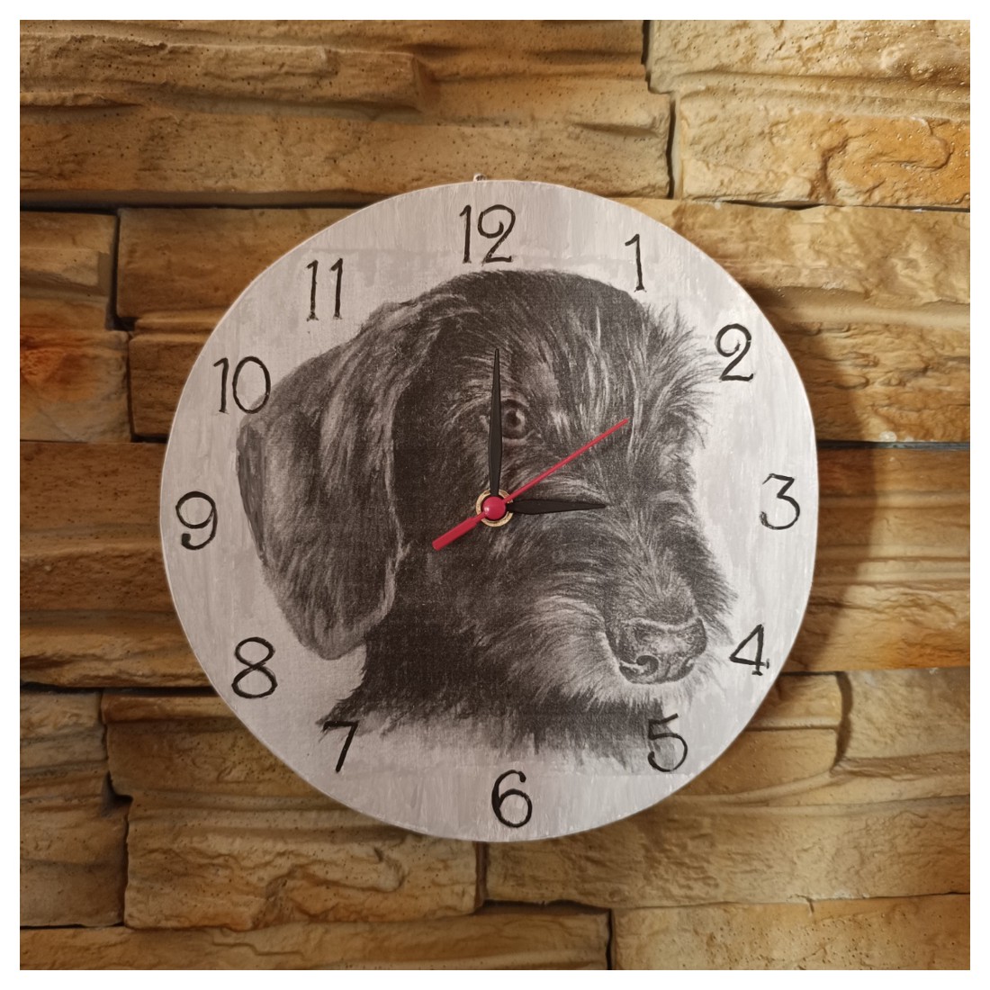 Dachshund cu păr spinos pe ceas de perete - - Artynos.ro Dachshund cu păr spinos pe ceas de perete - - Artynos.ro