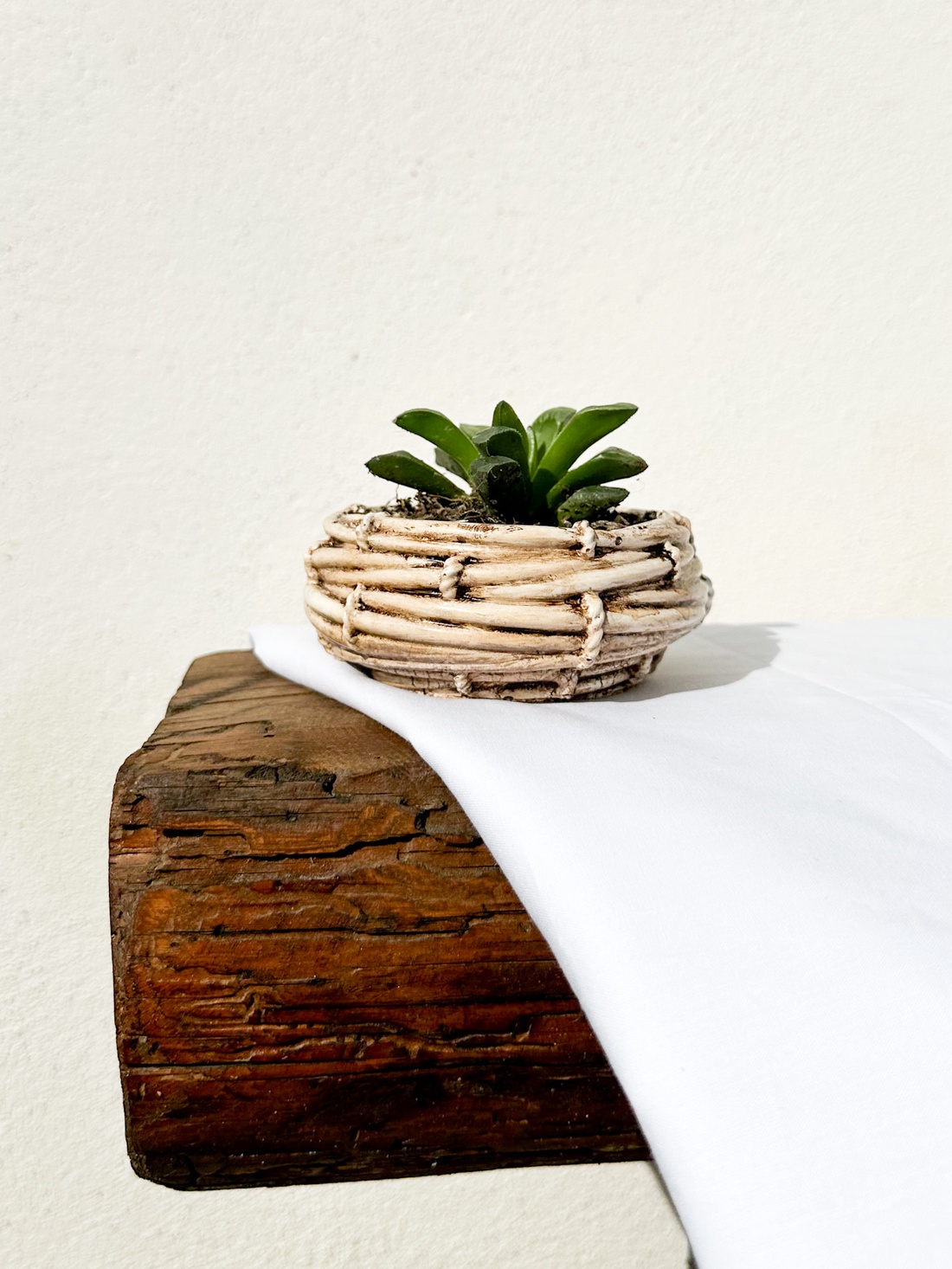 Ghiveci suculente - casă & stil de viață - accesorii pentru decorat casa - suport de flori - ghiveci și jardiniere - Artynos.ro