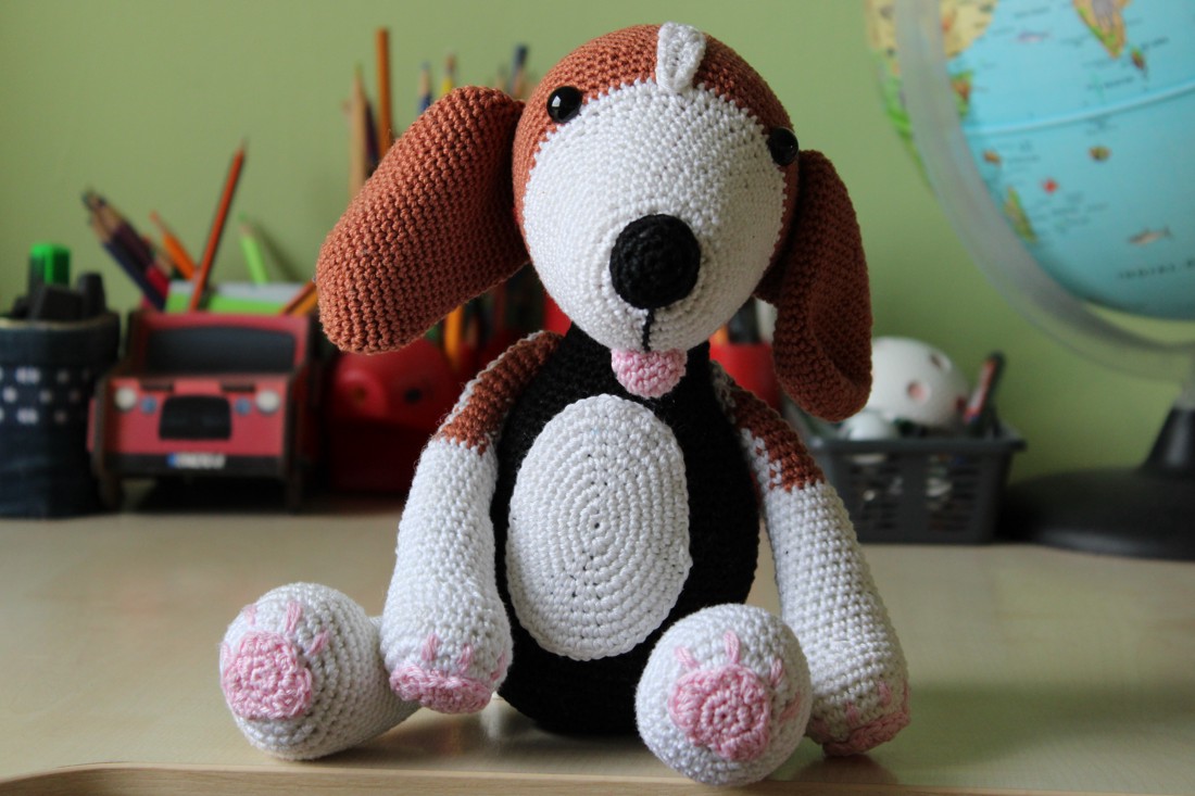 Câine Beagle - - Artynos.ro Câine Beagle - - Artynos.ro