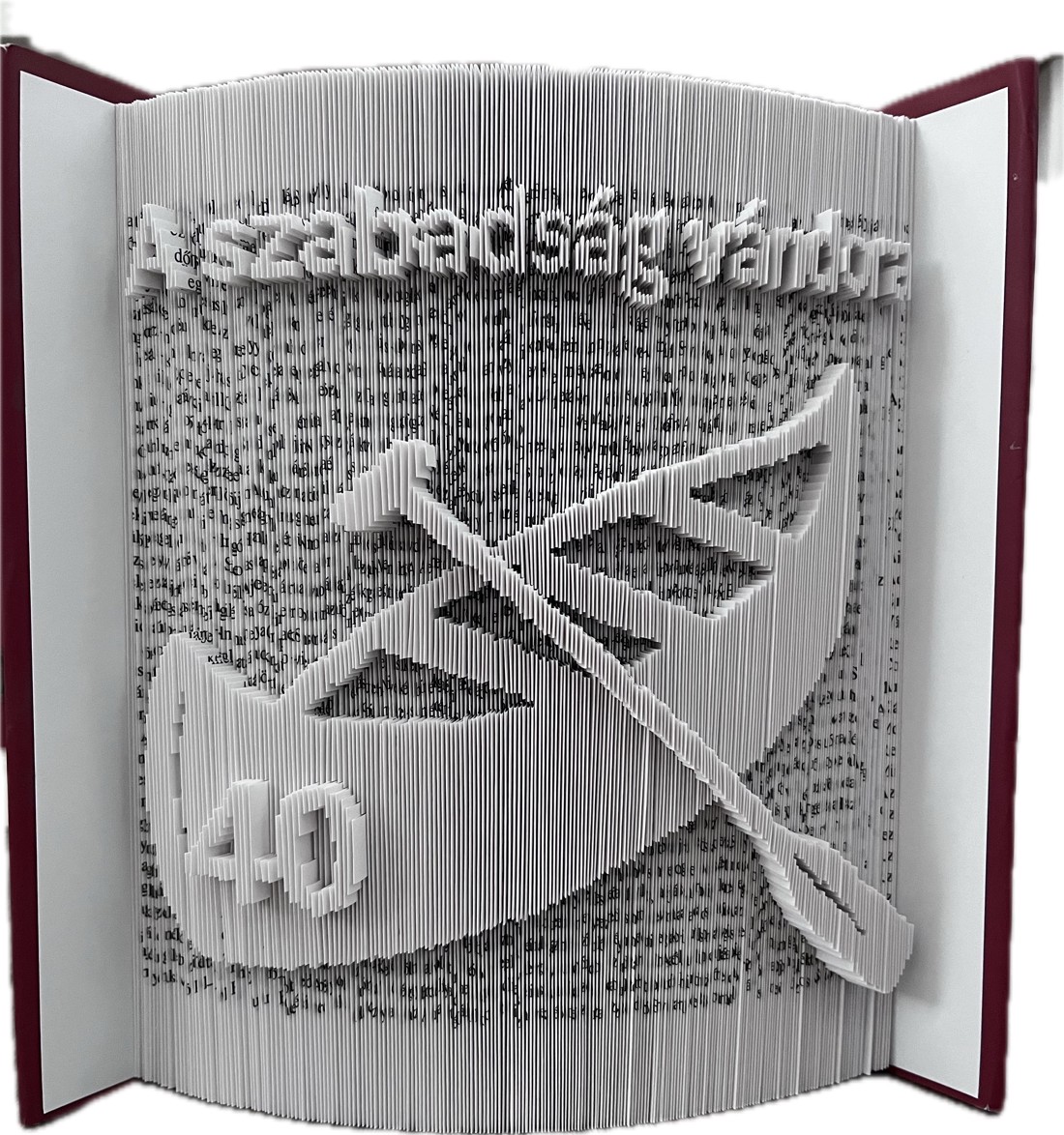 Sculptură de carte unică pentru o zi de naștere - casă & stil de viață - accesorii pentru decorat casa - decorațiuni de masă și decorațiuni pentru rafturi  - sculptură de carte, carte pliată - Artynos.ro