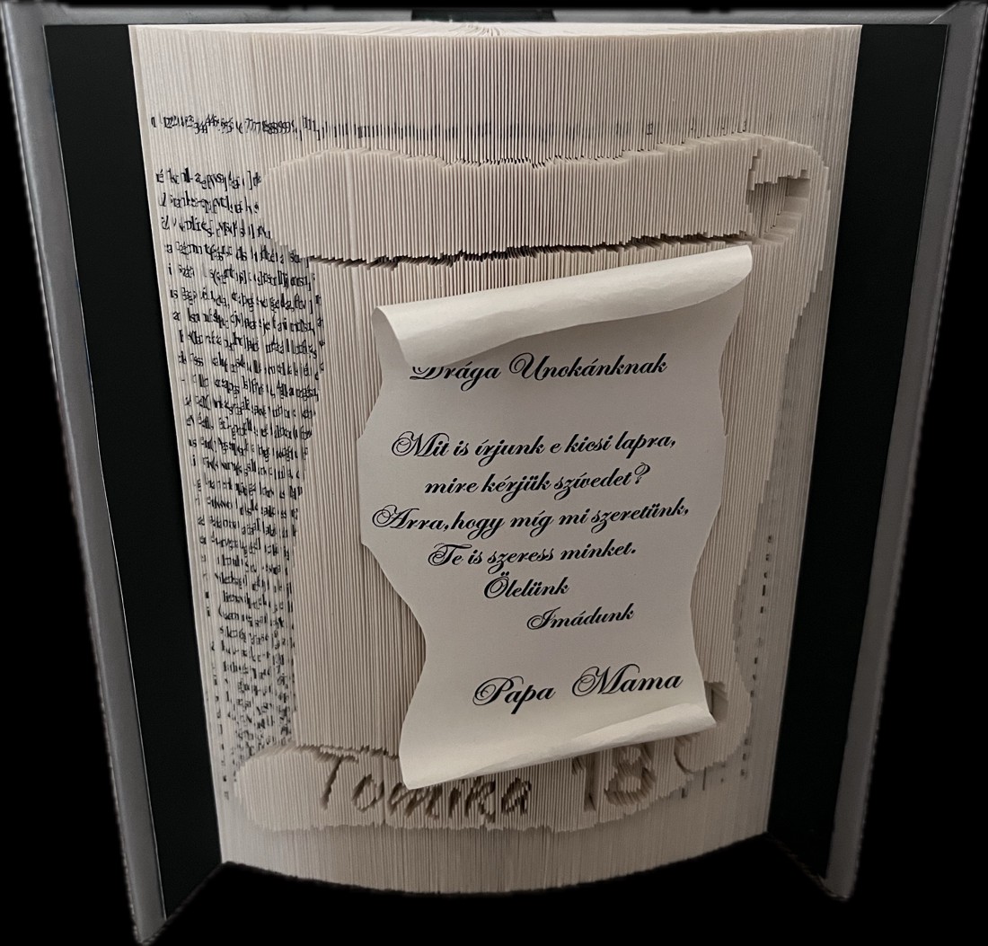 Sculptură de carte unică - casă & stil de viață - accesorii pentru decorat casa - decorațiuni de masă și decorațiuni pentru rafturi  - sculptură de carte, carte pliată - Artynos.ro