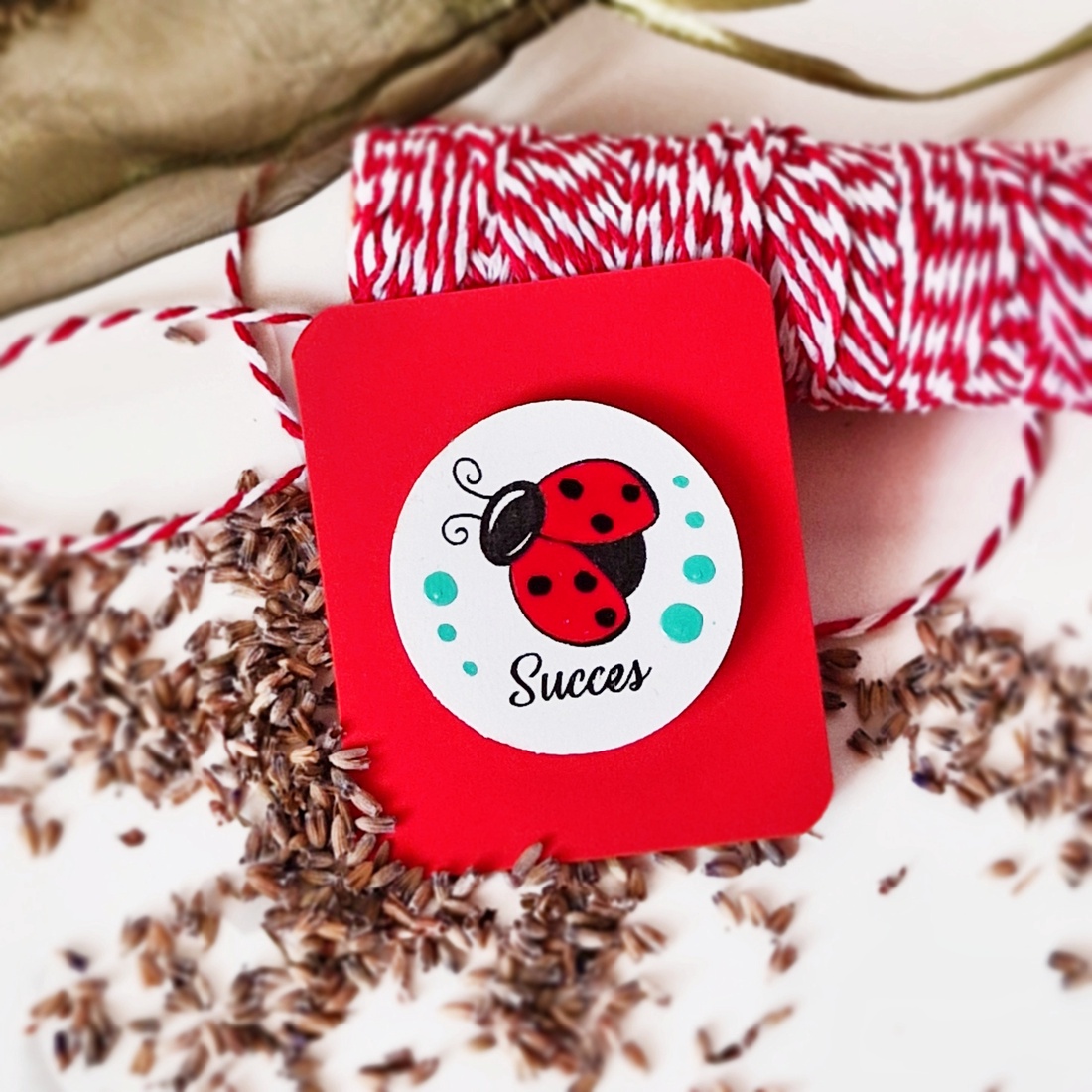 Martisor brosa Buburuza pictat manual cu text handmade - bijuterii - mărțișor - Artynos.ro