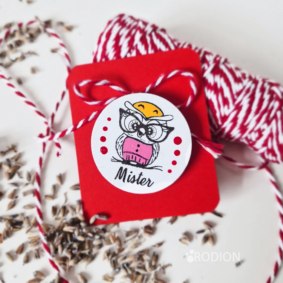 Martisor brosa Bufnita pictat manual cu text handmade - bijuterii - mărțișor - Artynos.ro