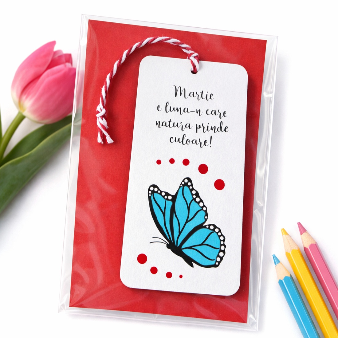 Martisoare semn de carte pictate manual cu mesaj Fluturaș - bijuterii - mărțișor - Artynos.ro