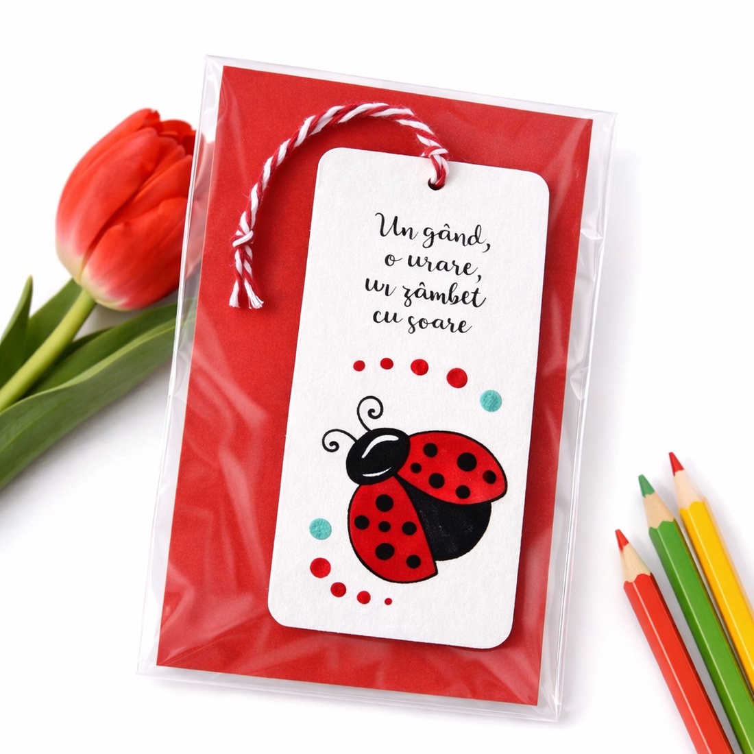 Martisoare semn de carte pictate manual cu mesaj Buburuza / Albinuță - bijuterii - mărțișor - Artynos.ro