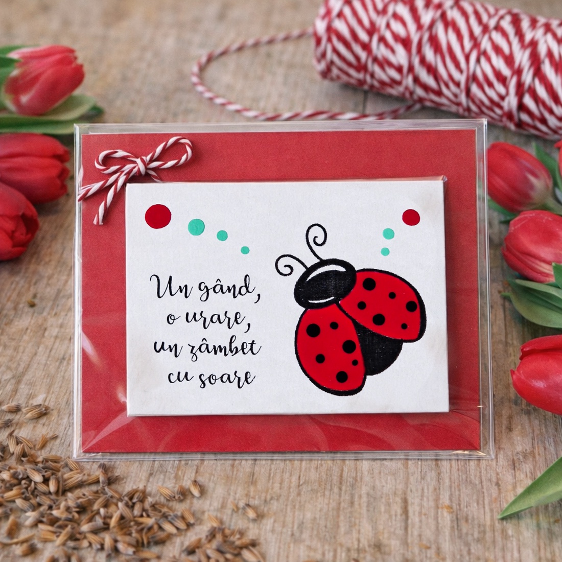 Mărțișoare cu magnet buburuză pictate manual cu mesaje haioase handmade - bijuterii - mărțișor - Artynos.ro