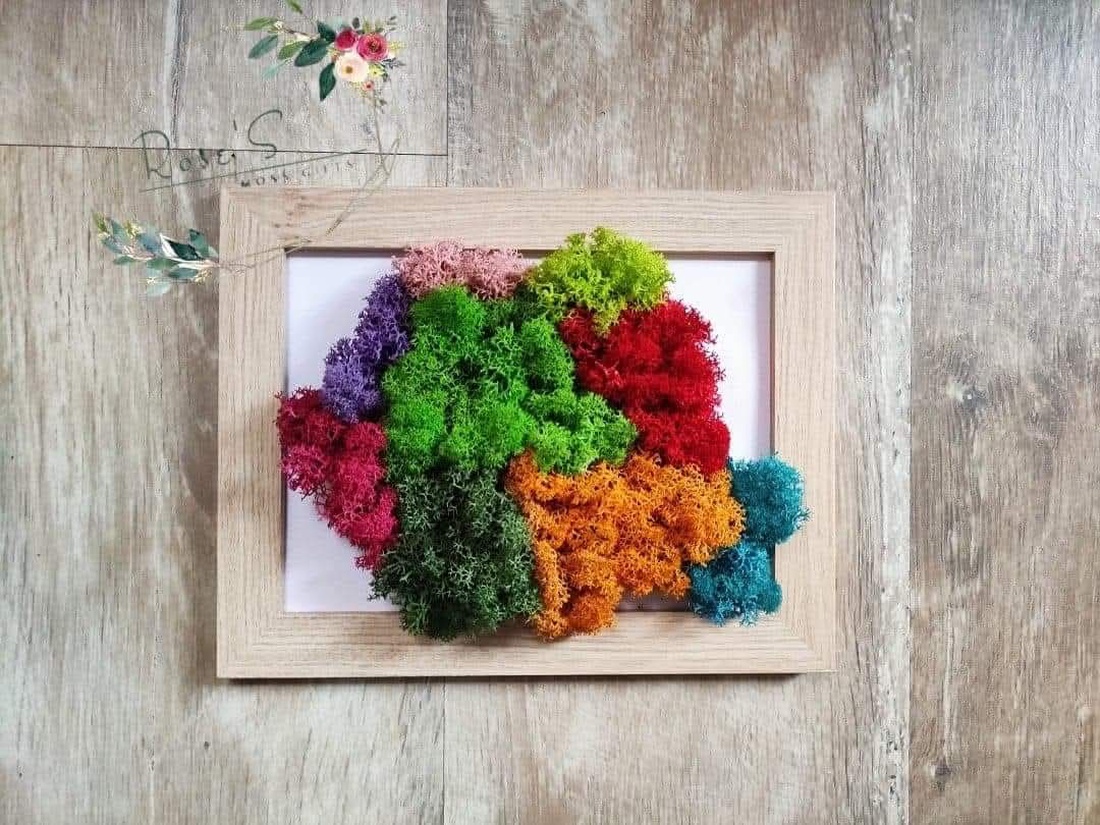 Harta României pe regiuni, decorata cu licheni stabilizati - casă & stil de viață - decorațiuni de casă - decorațiuni de pereți - decorațiuni cu licheni - Artynos.ro