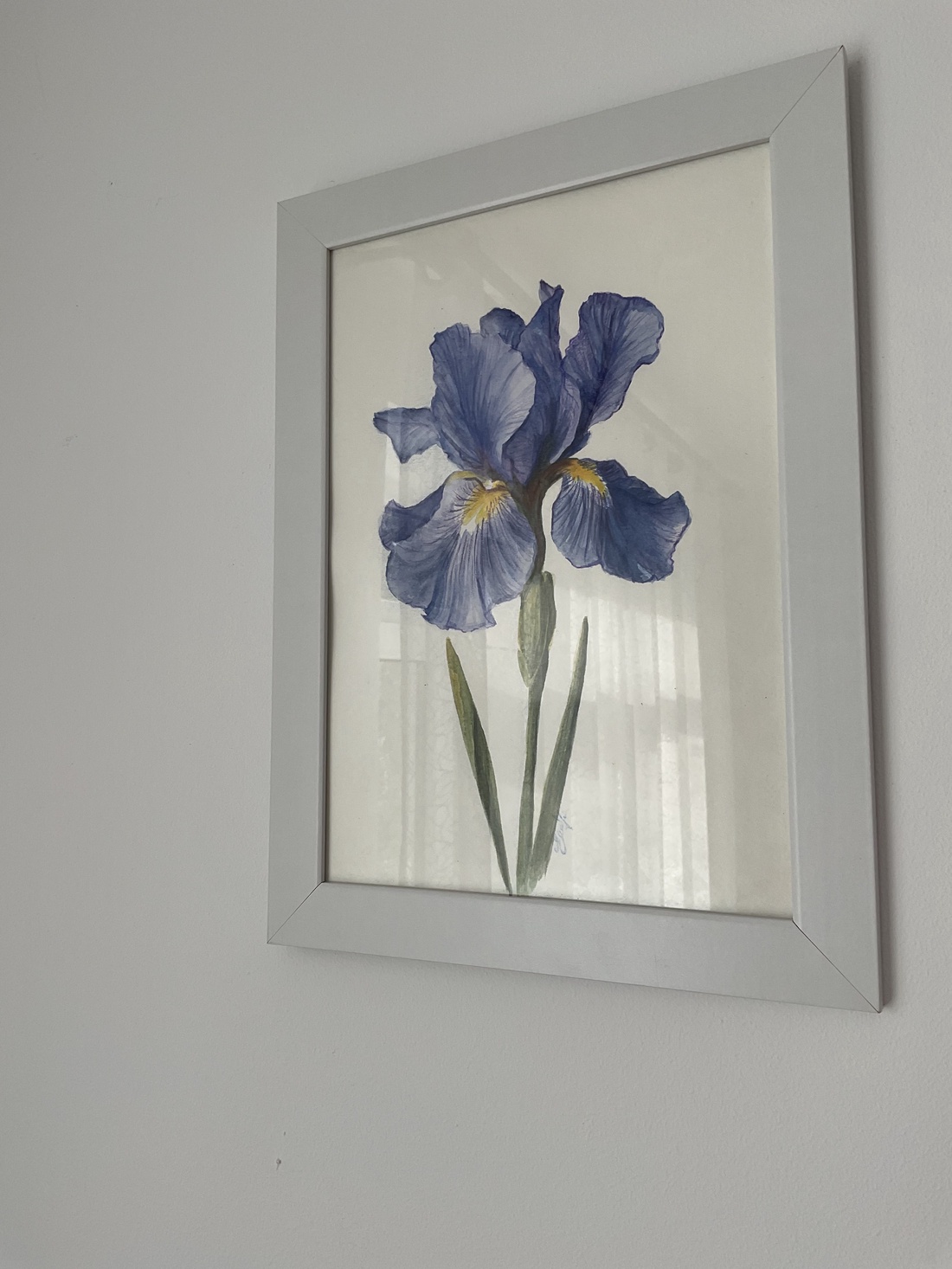 Tablou pictura in acuarela si creioane colorate floare Iris - arte vizuale și accesorii  - grafică, ilustrație - alte desene - Artynos.ro