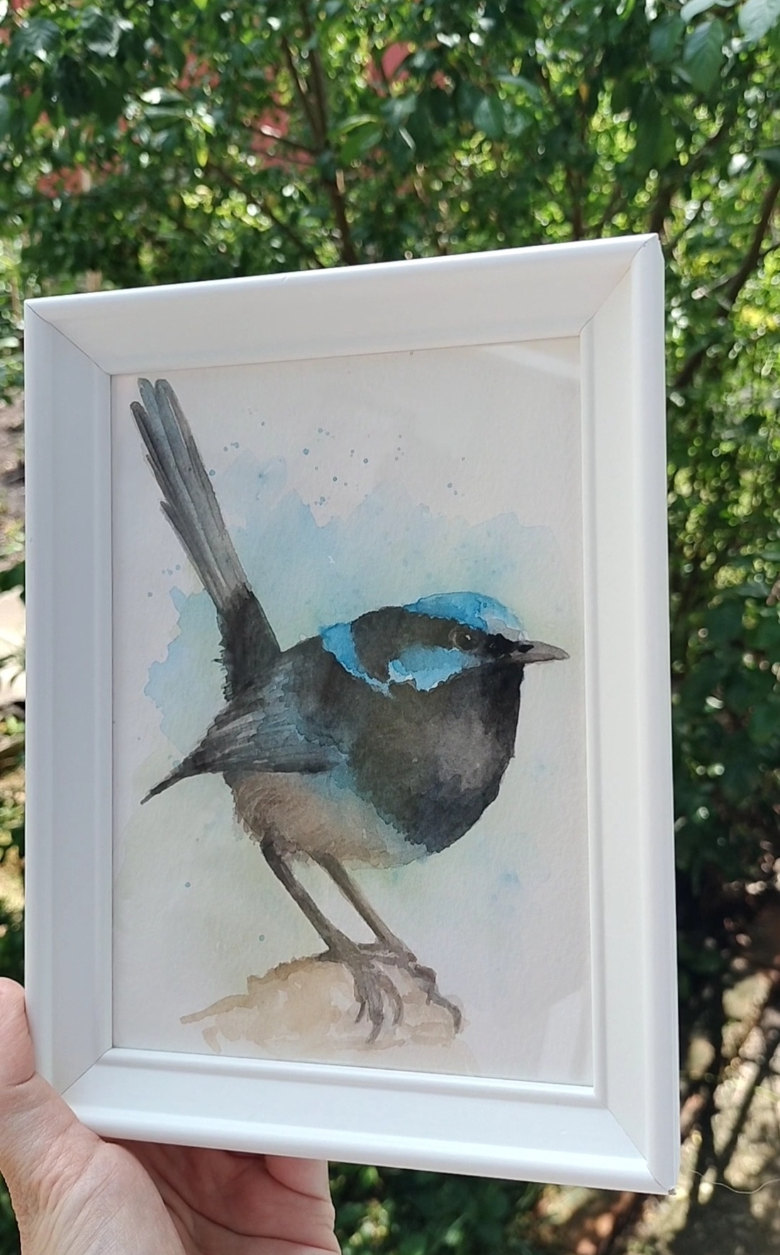 Pictura in acuarela - pitulice, cu rama - arte vizuale și accesorii  - picturi - acuarele picturi - Artynos.ro