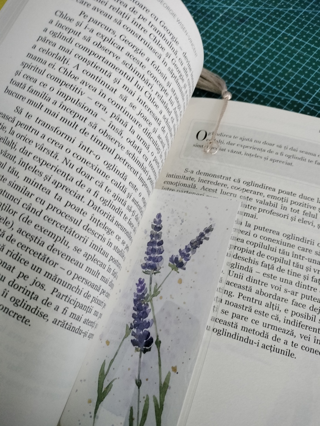 Set de doua semne de carte pictate manual cu lavanda - cărți și creații cu tematică muzicală, cadouri - semn de carte - Artynos.ro