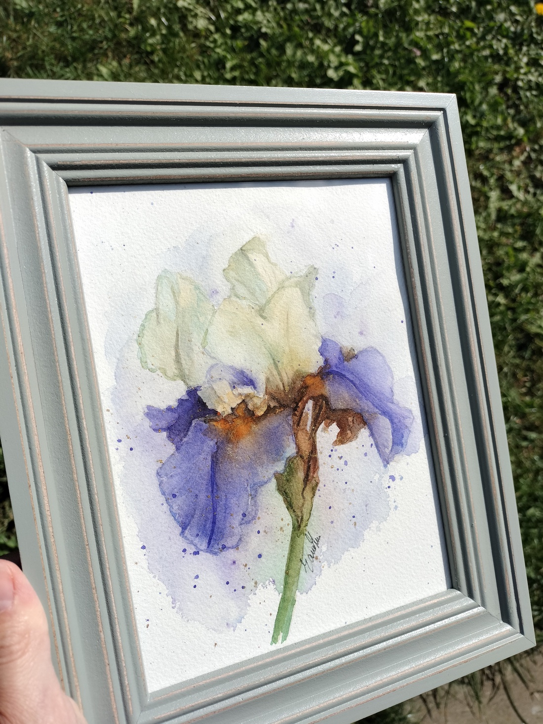 Floare de iris pictata manual cu rama - arte vizuale și accesorii  - picturi - acuarele picturi - Artynos.ro