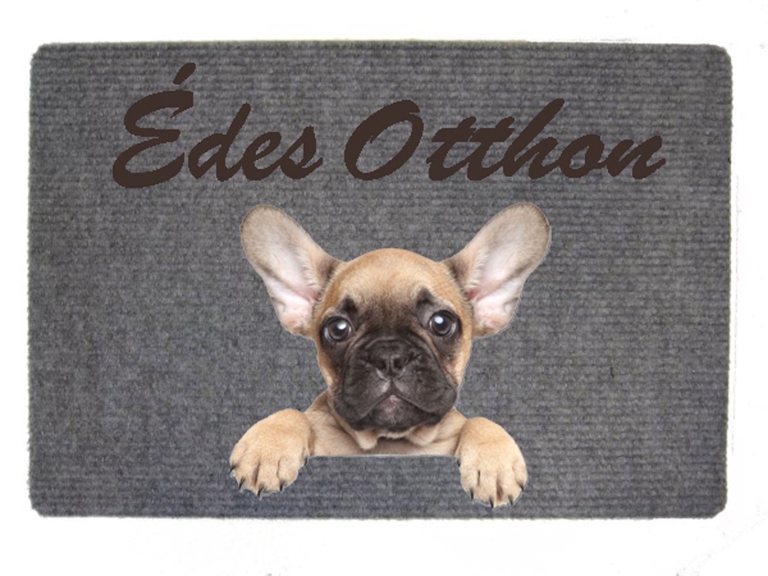 Buldog francez doormat - - Artynos.ro Buldog francez doormat - - Artynos.ro