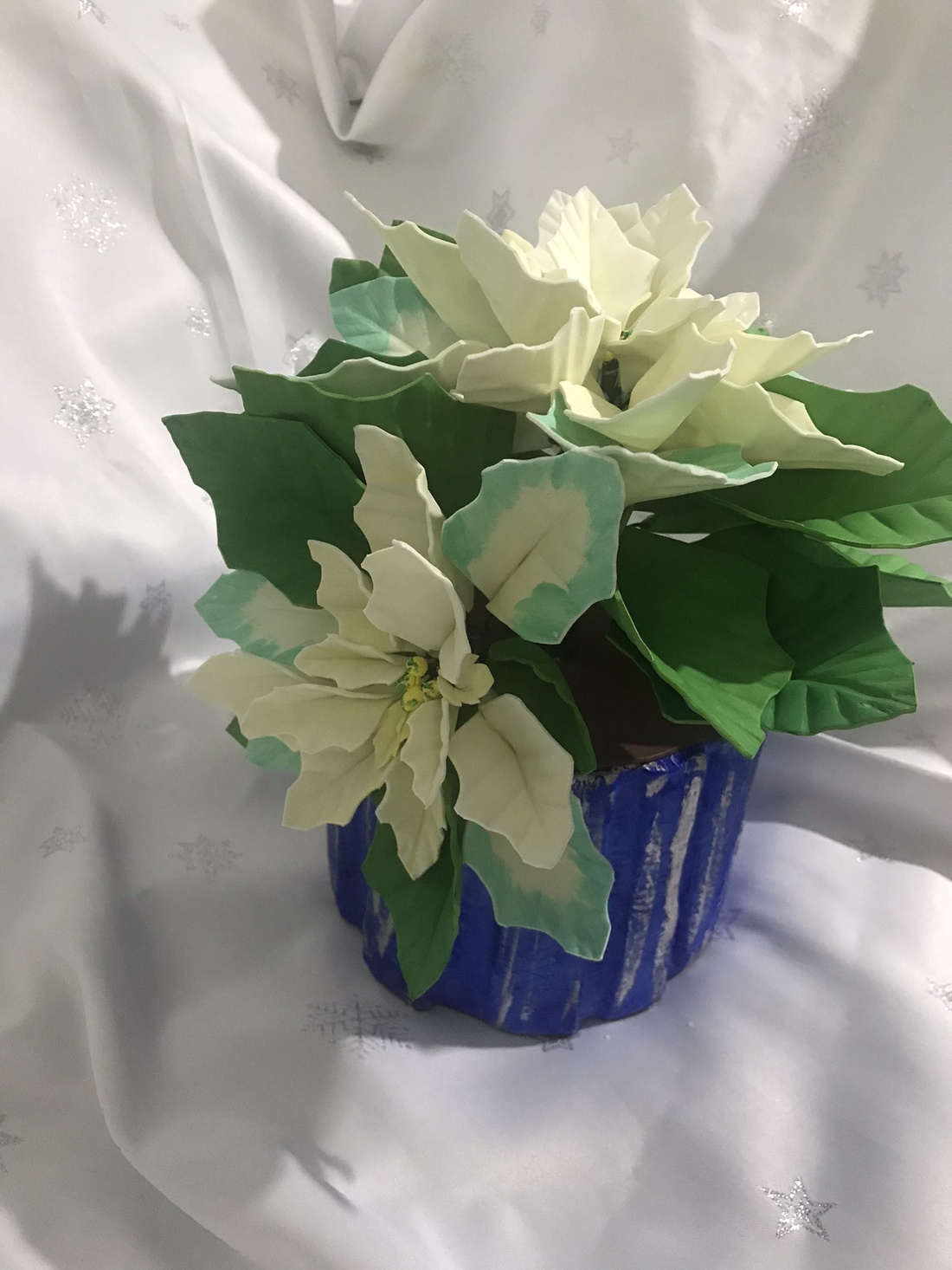 Floarea Crăciunului (Poinsettia) - crăciun - cadouri de moș crăciun - cadouri de moș crăciun - Artynos.ro Floarea Crăciunului (Poinsettia) - crăciun - cadouri de moș crăciun - cadouri de moș crăciun - Artynos.ro