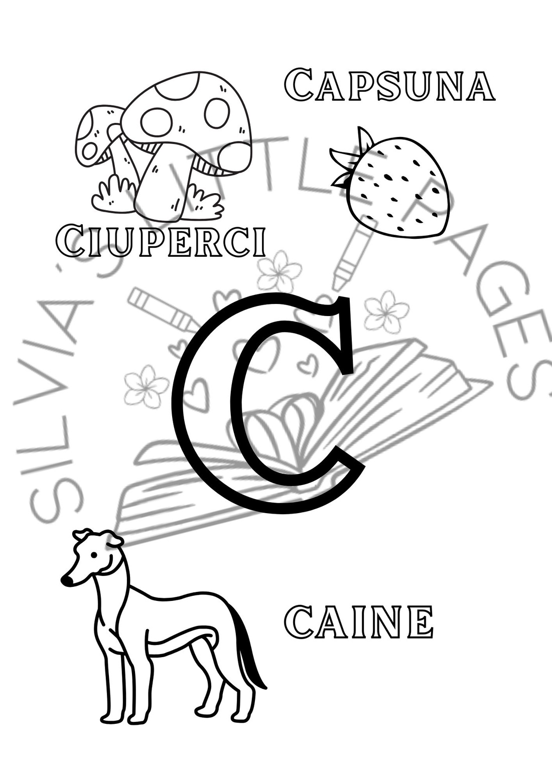 Colorăm și învățăm alfabetul cu plante și animale - accessorii și unelte - carte, ziar - carte nouă - Artynos.ro