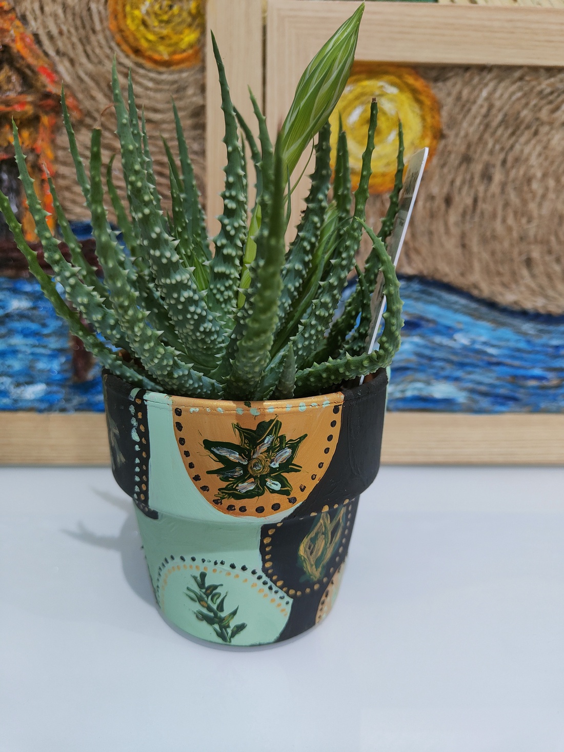 Aloe Vera Humilis in ghiveci pictat manual- 10,5cm - casă & stil de viață - accesorii pentru decorat casa - suport de flori - ghiveci și jardiniere - Artynos.ro Aloe Vera Humilis in ghiveci pictat manual- 10,5cm - casă & stil de viață - accesorii pentru decorat casa - suport de flori - ghiveci și jardiniere - Artynos.ro