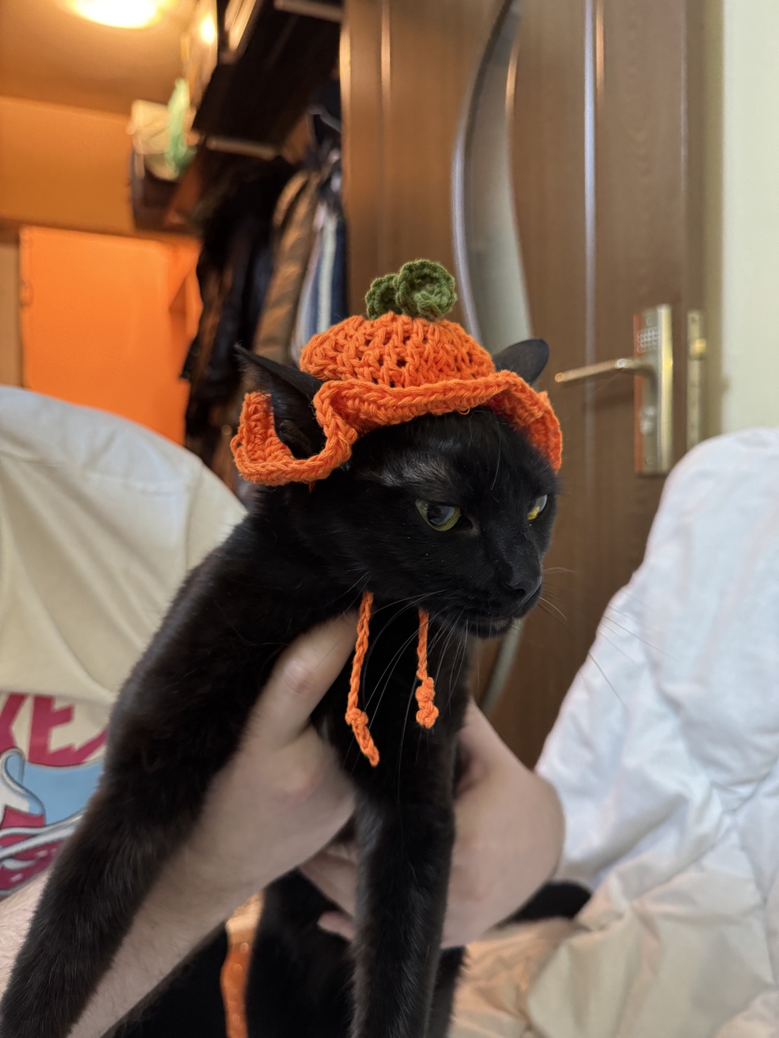 Căciuliță pentru pisici - casă & stil de viață - accesorii pentru animale  - echipamente pentru pisici - haine pentru pisici - Artynos.ro