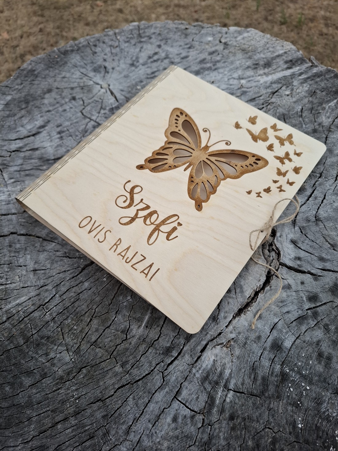 Dosar unic pentru desene  -  - Artynos.ro