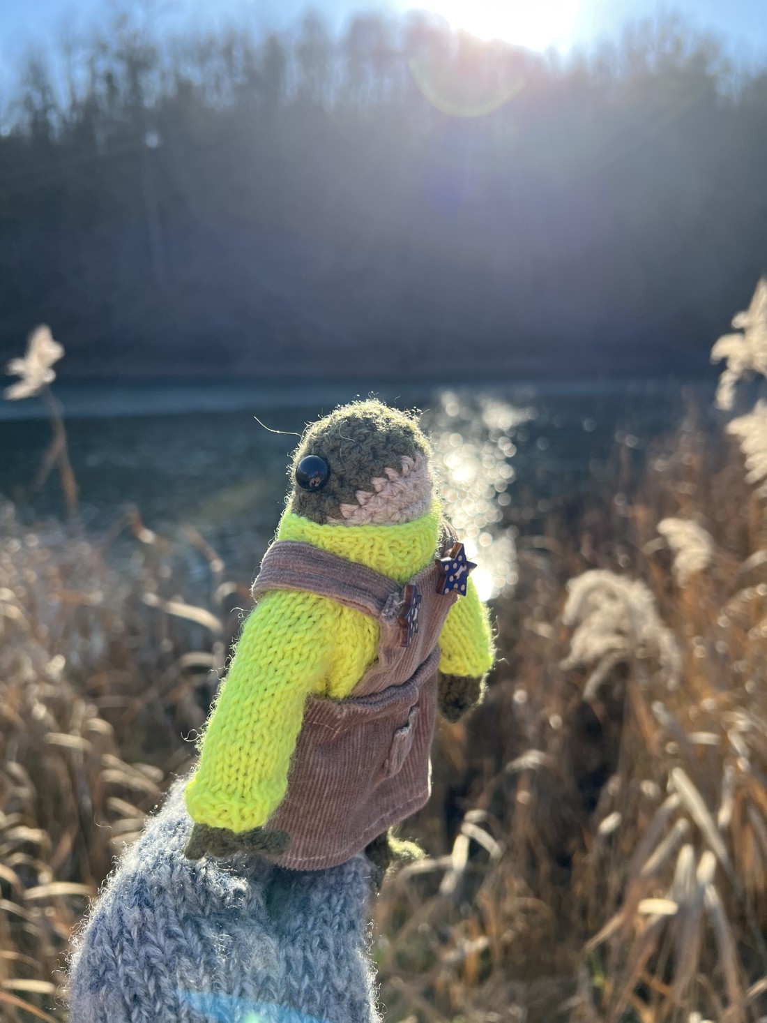 Broască premium lucrată manual în rochie de catifea - Vine cu ambalaj decorativ. Jucărie cu design unic -  - Artynos.ro