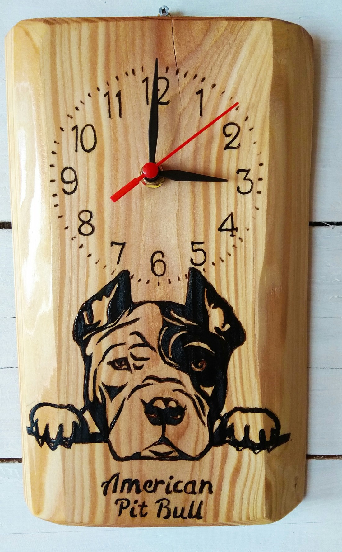 Câine Pit Bull pe ceas de perete - - Artynos.ro Câine Pit Bull pe ceas de perete - - Artynos.ro