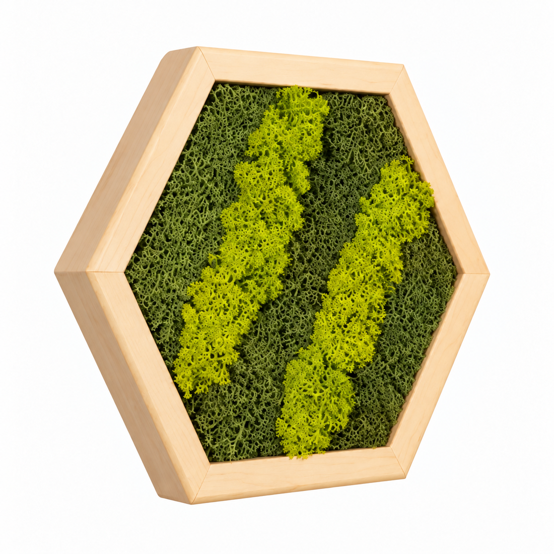 Hexagon din licheni in nuante de verde 30x25 cm - casă & stil de viață - decorațiuni de casă - decorațiuni de pereți - tablou cu licheni - Artynos.ro
